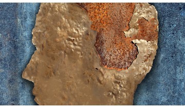 Brain Function Decline